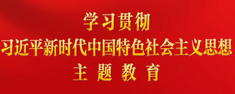 学习贯彻习近平新时代中国特色社会主义思想主题教育